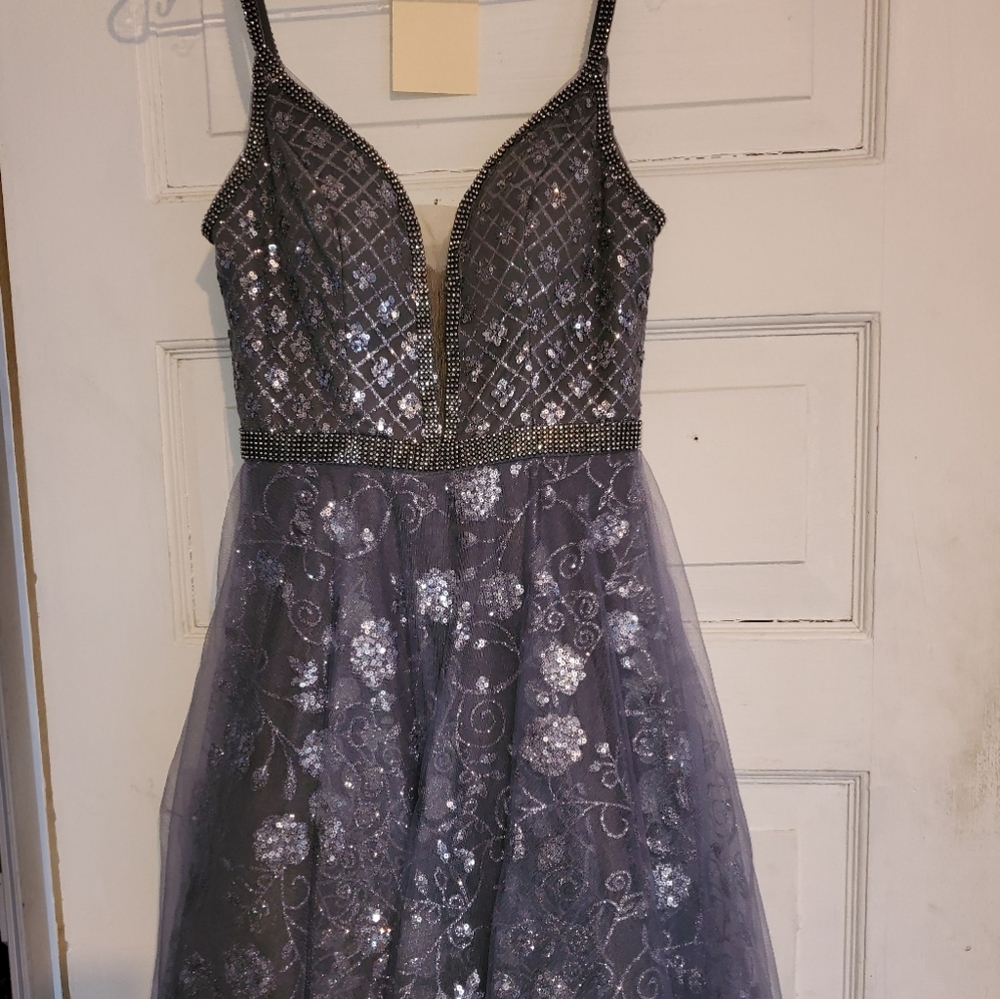 Homecoming/prom dresd